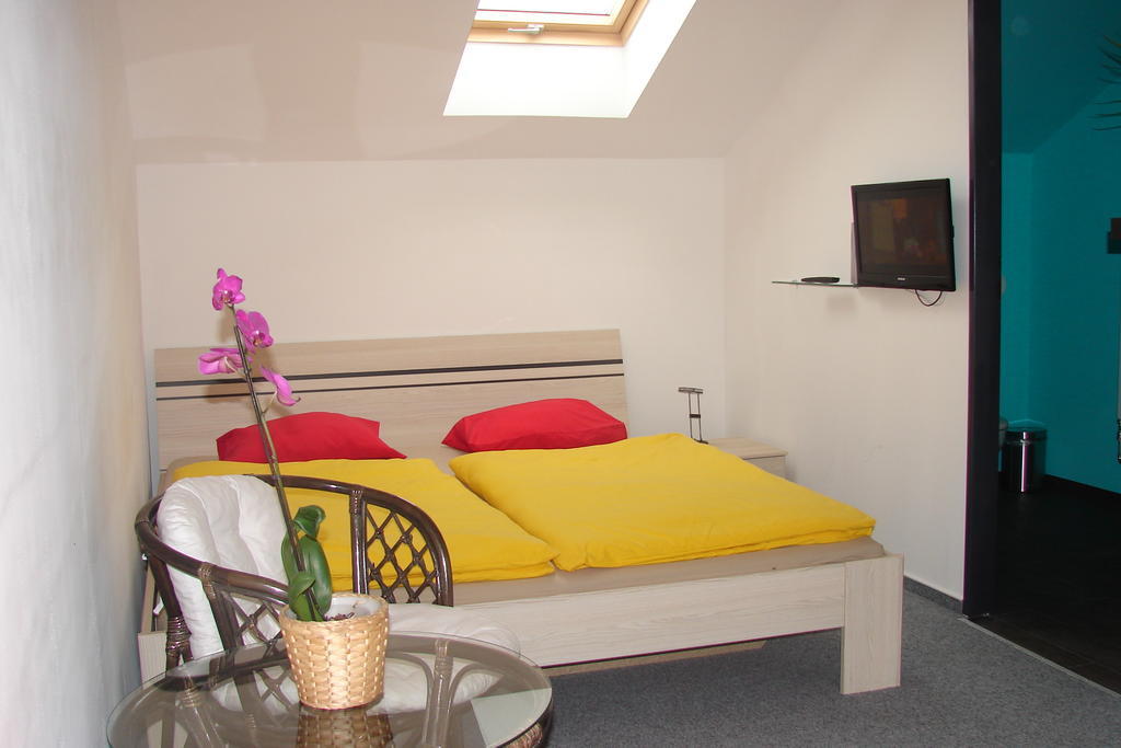 Ubytovani V Brne Hotel Brno Room photo