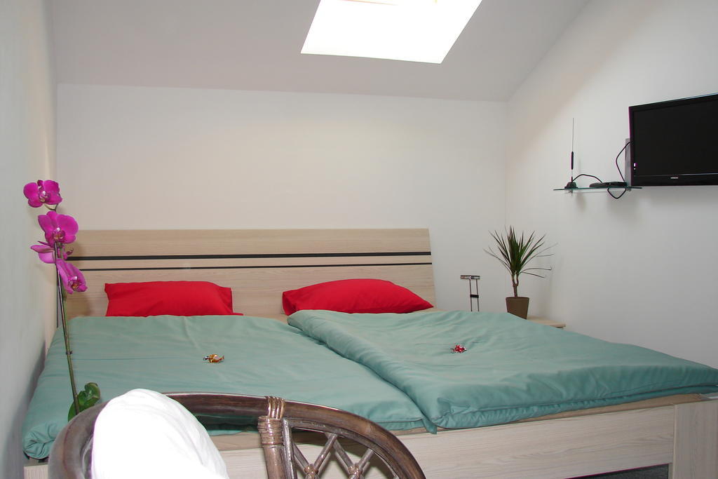 Ubytovani V Brne Hotel Brno Room photo